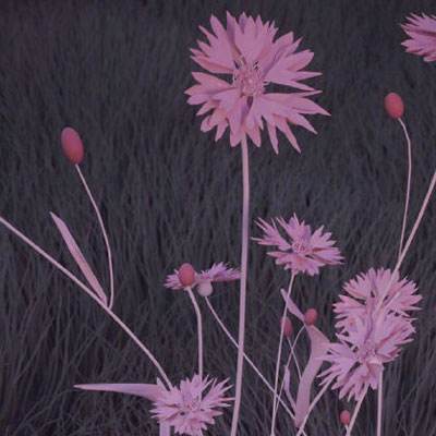 千亿国际下载手机版